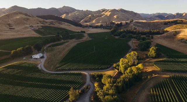 Terroir und Weinberge