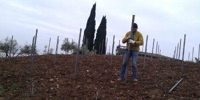 Azienda Agricola Cantrina