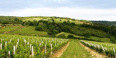 Domaine de la Croix Senaillet