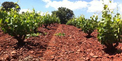 Bodegas Carlos Valero
