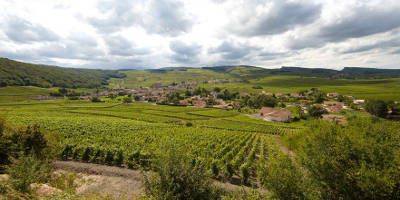 Domaine J A Ferret