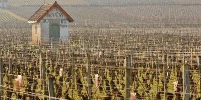 Domaine Mongeard-Mugneret