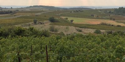 Domaine Castan
