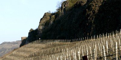 Weingut Hermann Dönnhoff