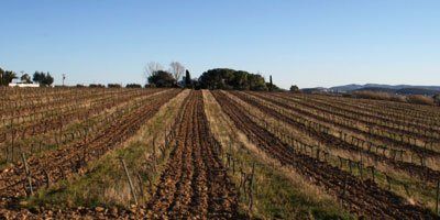 Celler Descregut