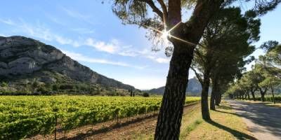 Domaine de la Vallongue