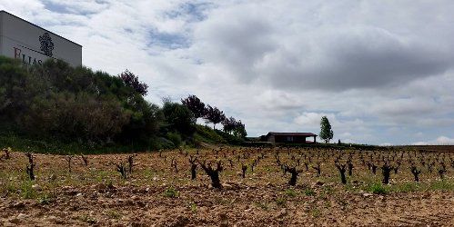 Bodegas Elías Mora 