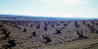 Bodegas Epifanio Rivera