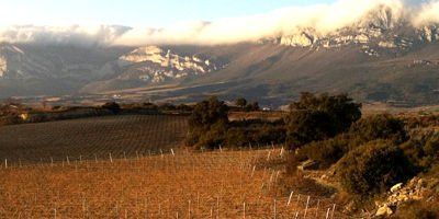 Bodegas Exopto
