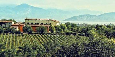 Famiglia Olivini