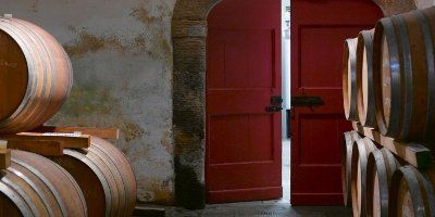 Terre a Mano - Fattoria di Bacchereto