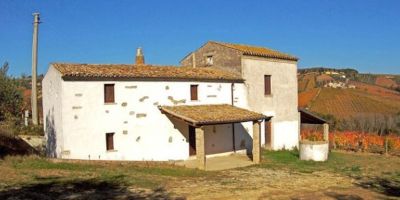 Tenuta I Fauri