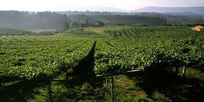 Bodegas Fillaboa