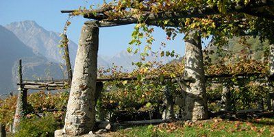 Ferrando Azienda Vitivinicola