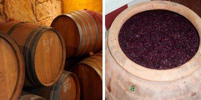 Celler Ficaria Vins
