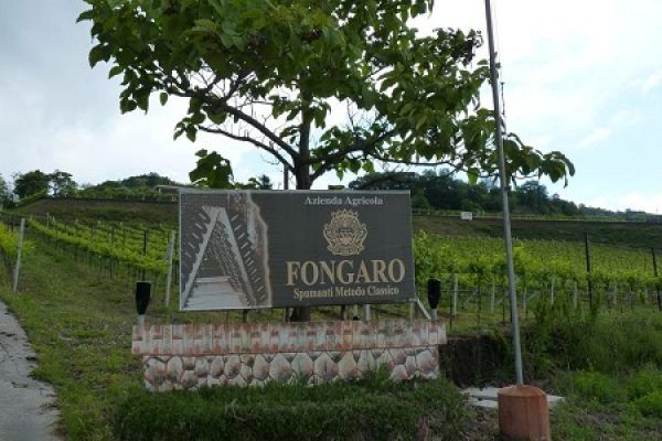 Fongaro