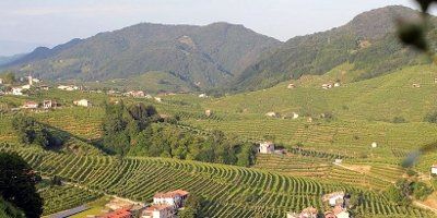 Azienda Vinicola Follador