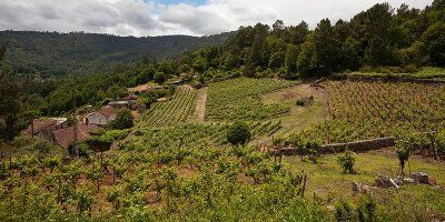 Finca do Cabildo