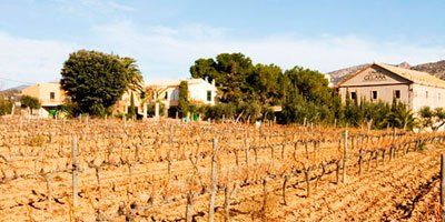 Celler Gelamà