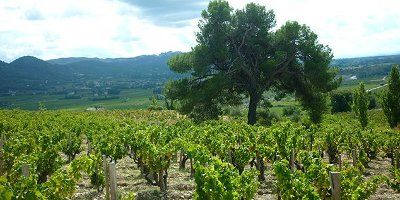 Domaine Gourt de Mautens