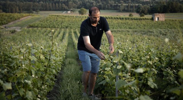 Territorio y viticultura