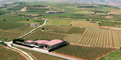 Bodegas y Viñedos Heras Cordón