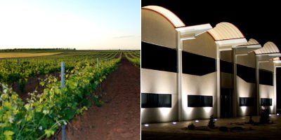 Bodega Iniesta