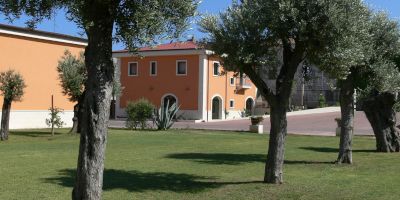 Cantine Vincenzo Ippolito