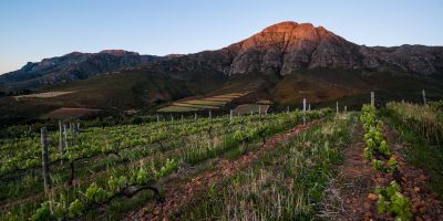 Keermont Vineyards