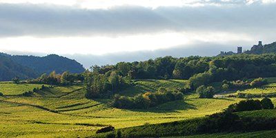 Domaine Kientzler