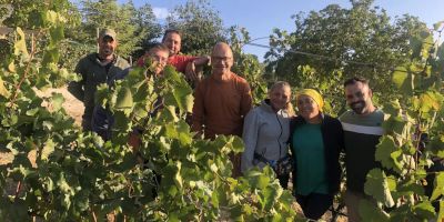 Bodega Kieninger