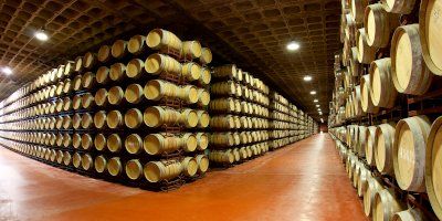 Bodegas Lagunilla