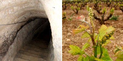 Bodegas Lecea