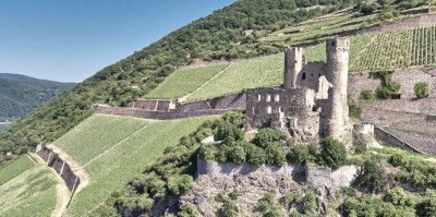 Weingut Leitz