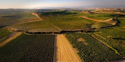Bodegas R. López de Heredia Viña Tondonia