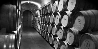 Bodegas y Viñedos La Legua