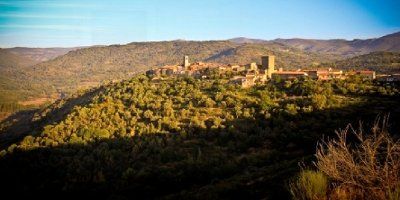 Mandrágora Vinos de Pueblo