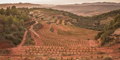 Celler Masroig