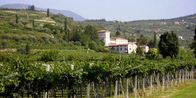 Castellani Michele & Figli