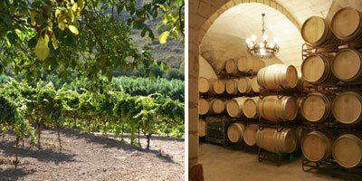 Vins Miquel Gelabert