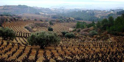 Bodega J. Miquel Jané