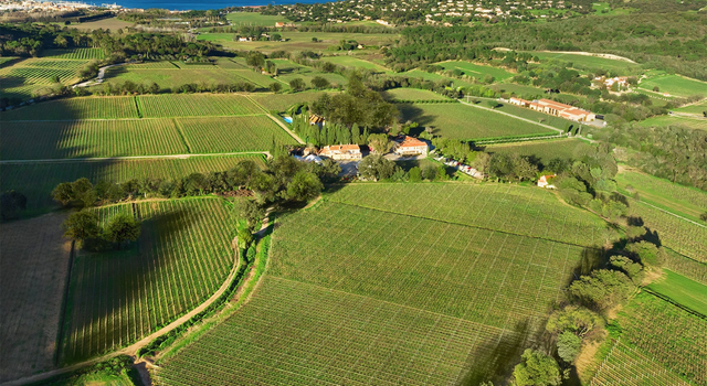 Territorio y viticultura