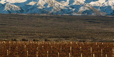 Bodega Monteviejo