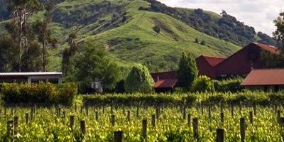 Millton Vineyards & Winery