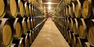Bodegas Muriel