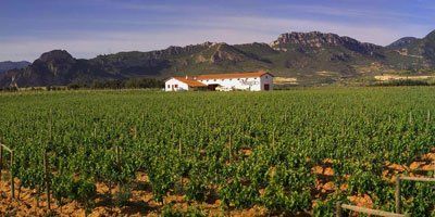 Bodegas Muga