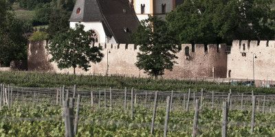 Weingut J.Neus