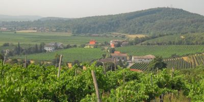 Nani - Castello di Rubaro
