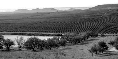 Bodegas Palacios Remondo