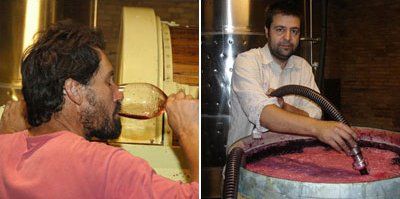 Celler Pardas